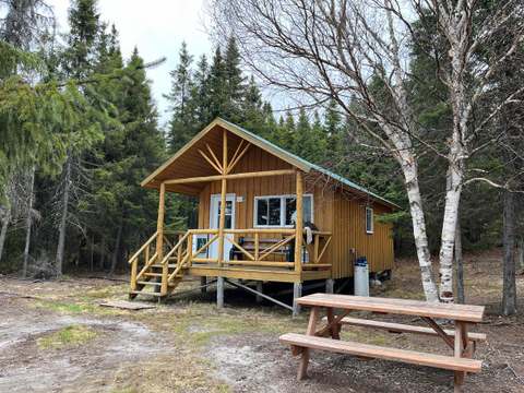 Vue extérieure du chalet en bois avec sa galerie et sa table de pique-nique en forêt.