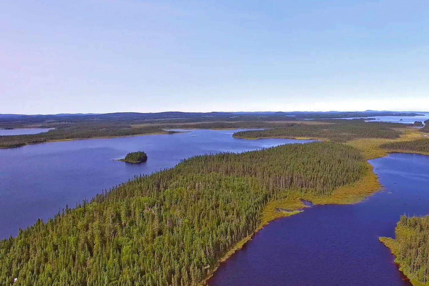 Chalet #40 - Baie Plamondon — Pourvoirie Sauterelle – Pourvoirie Sauterelle