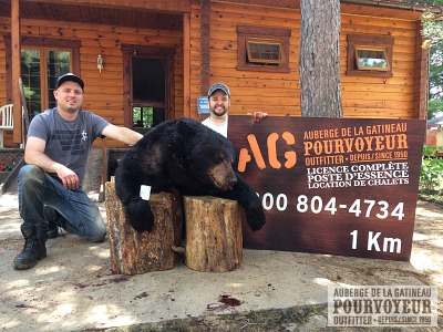 Chasse Ours noir chez Auberge Gatineau au Baskatong, Outaouais, Québec