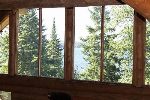 Panoramic view of the surrounding nature from inside the lodge.