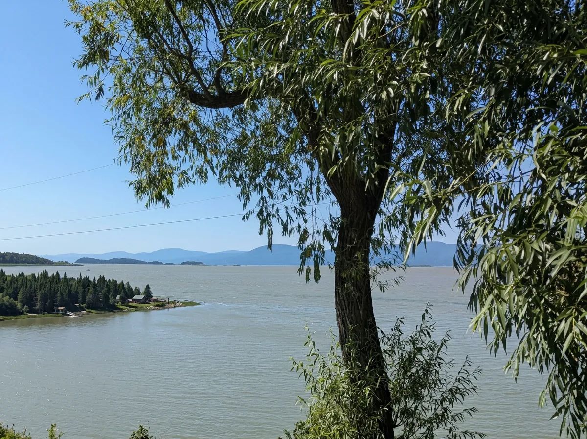 Photo de Auberge-Pourvoirie Isle-aux-Grues en Chaudière-Appalaches, Qc