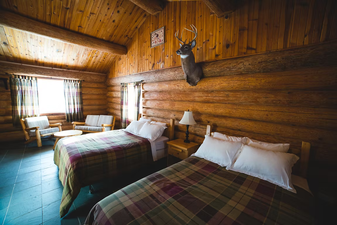 Auberge Le Balbuzard Sauvage — Balbuzard Sauvage – Balbuzard Sauvage