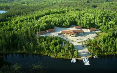 Photo of Balbuzard Sauvage in Abitibi-Témiscamingue, QC