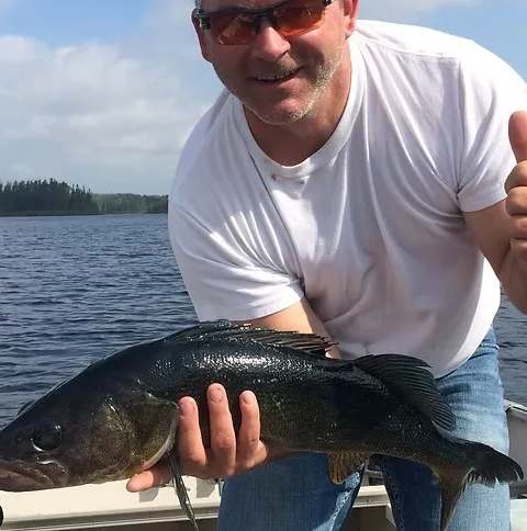 Photo souvenir chez Balbuzard Sauvage, Abitibi-Témiscamingue, Québec