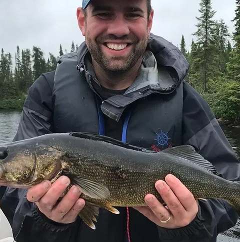 Pêche Doré chez Balbuzard Sauvage, Abitibi-Témiscamingue, Québec