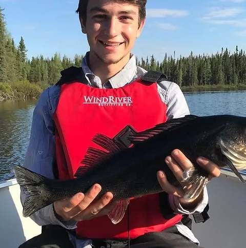 Pêche Doré chez Balbuzard Sauvage, Abitibi-Témiscamingue, Québec — photo 2