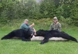 Hunting Black bear at Camp Grassy Narrows, Abitibi-Témiscamingue, Quebec