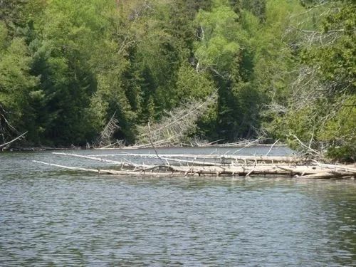 Lake Lacroix – Centre du Pourvoyeur Mastigouche