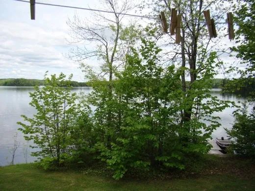 Yves Cabin — Chalets des Bouleaux – Chalets des Bouleaux