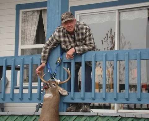 Chasse Chevreuil chez Chalets des Bouleaux, Laurentides, Québec — photo 2