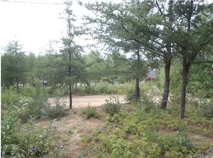 Chalet  régulier 10 – Chalets Gouin Chasse et Pêche