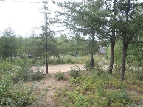 Chalet régulier 10 – Chalets Gouin Chasse et Pêche