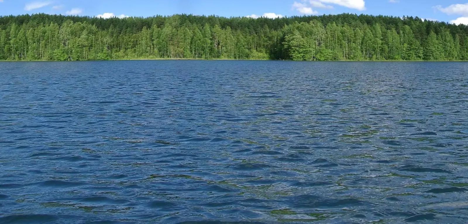 Réservoir Gouin – Chalets Gouin Chasse et Pêche