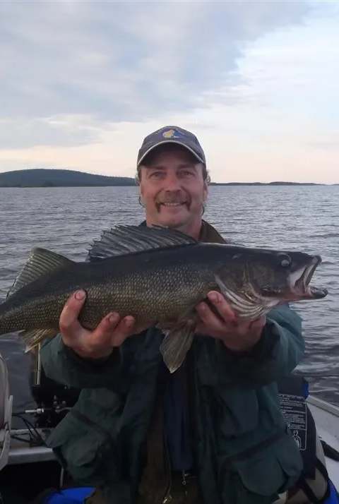 Fishing Walleye at Chalets Gouin Chasse et Pêche, Mauricie, Quebec