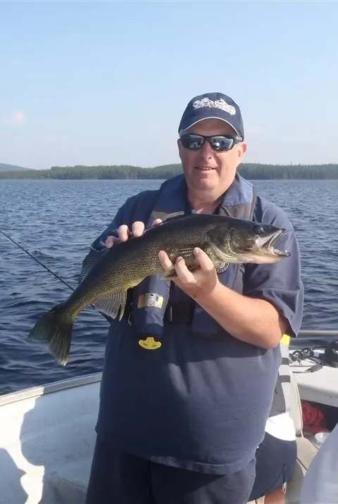 Fishing Walleye at Chalets Gouin Chasse et Pêche, Mauricie, Quebec — photo 3