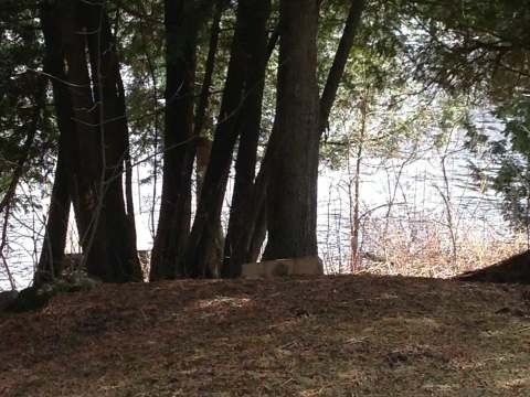 PETIT CHALET – Chalets Rapide des Cèdres