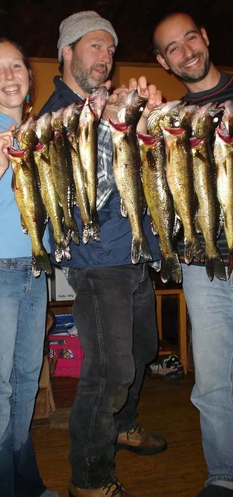 Pêche Doré chez Chalets Rapide des Cèdres, Laurentides, Québec — photo 3