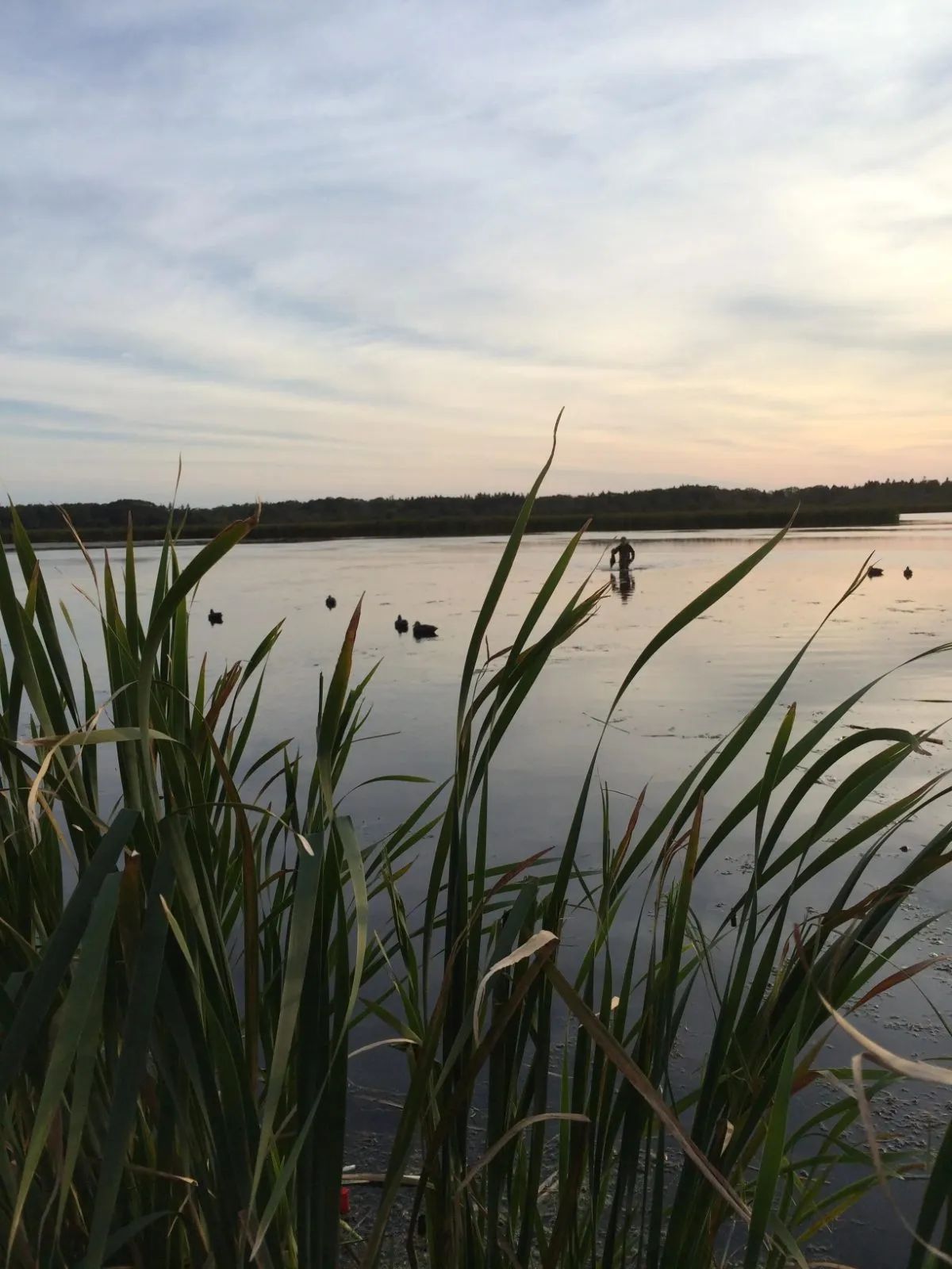 Fleuve St-Laurent – Chasse aux migrateurs Le Goose Shack