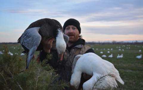 Photo of Chasse aux migrateurs Le Goose Shack in Saguenay–Lac-Saint-Jean, QC