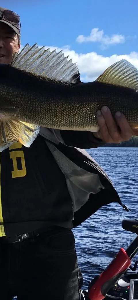 Pêche Doré chez Chez Rainville - Camping Union Baskatong, Outaouais, Québec — photo 4