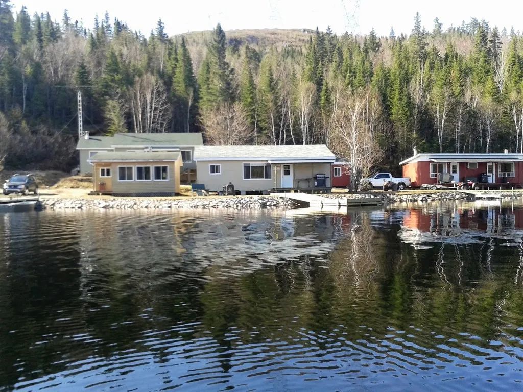The Cabins – The Cabins
