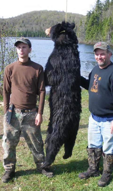 Hunter with a 250 lb black bear at Club de Chasse et Pêche Lac O'sullivan, Outaouais, Quebec