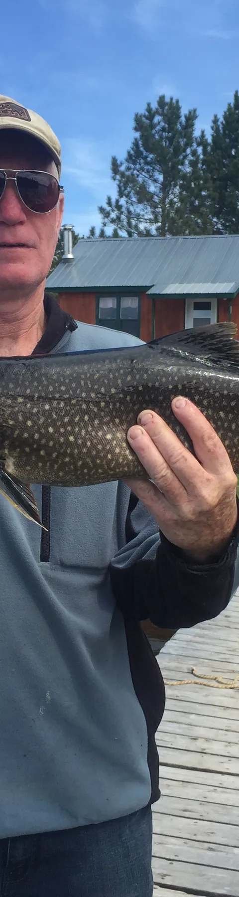 Great catch on the lake at Club de Chasse et Pêche Lac O'sullivan, Outaouais, Quebec