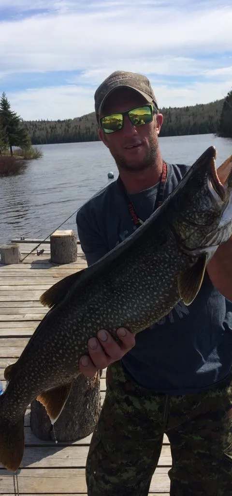 Superb walleye caught at the outfitter at Club de Chasse et Pêche Lac O'sullivan, Outaouais, Quebec