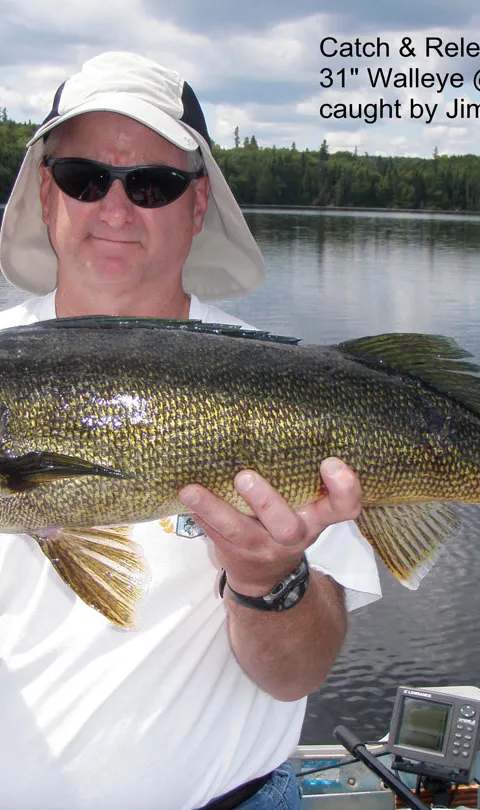 31-inch walleye caught on Lac O'Sullivan at Club de Chasse et Pêche Lac O'sullivan, Outaouais, Quebec