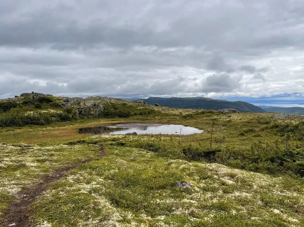 Photo de Les Gérances de la Horde Sauvage sur la Côte-Nord, Qc