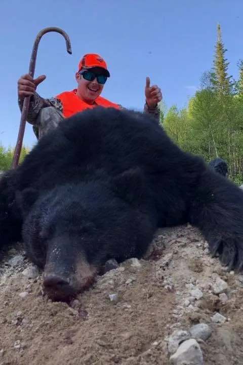 Hunting Black bear at Club des Hauteurs de Charlevoix, Charlevoix, Quebec — photo 2
