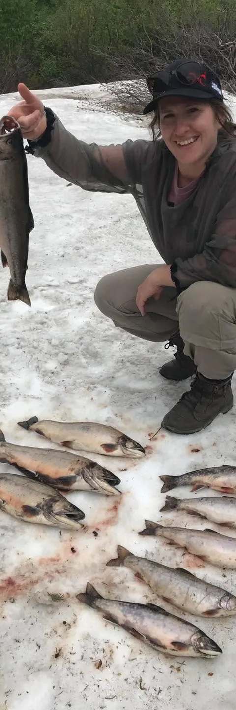 Fishing Brook trout at Club des Hauteurs de Charlevoix, Charlevoix, Quebec — photo 4