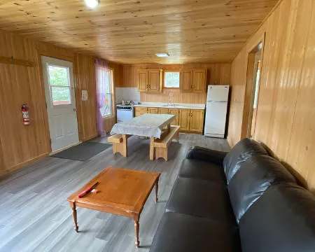 Vue d'ensemble de l'aire de vie principale comprenant le salon et la cuisine du chalet.