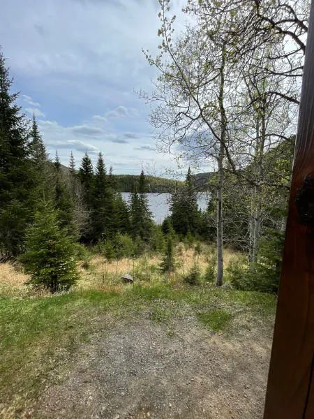Vue sur la forêt et le lac depuis l'extérieur du chalet 9.