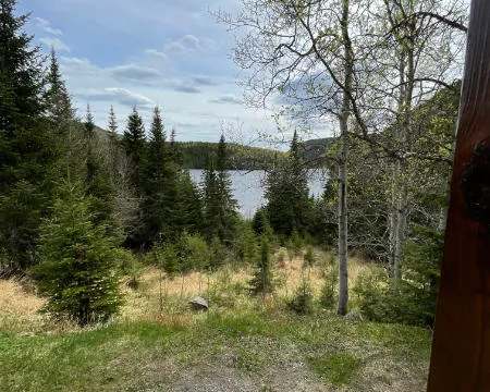 Vue sur la forêt et le lac depuis l'extérieur du chalet 9.