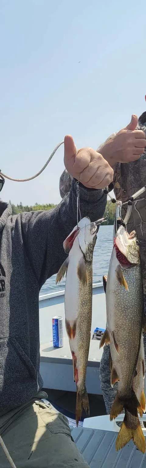 Pêche en lac sauvage à la Pourvoirie du Lac Brûlé chez Club Lac Brûlé, Outaouais, Québec