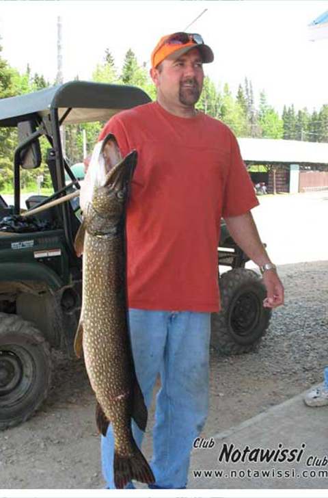 Prise de grand brochet du Nord chez Club Notawissi, Laurentides, Québec