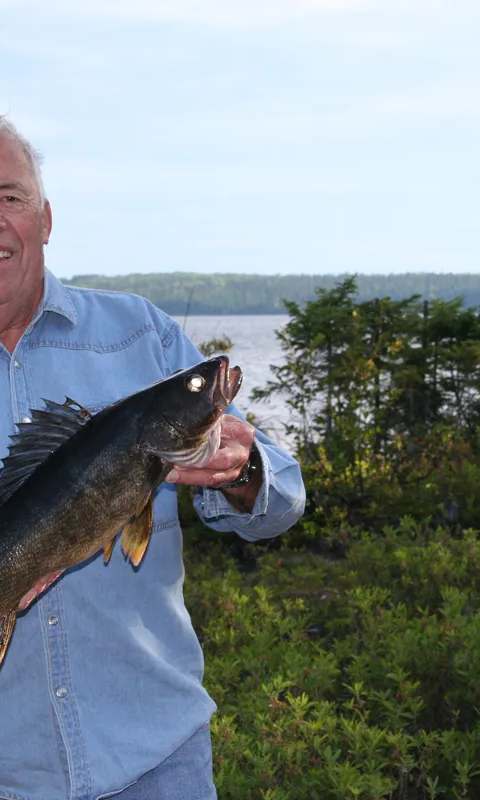 Beautiful day of walleye fishing at Club Principal - l'Aventurier, Mauricie, Quebec