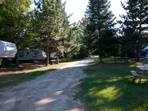 View of the shaded camping spots with parked travel trailers.