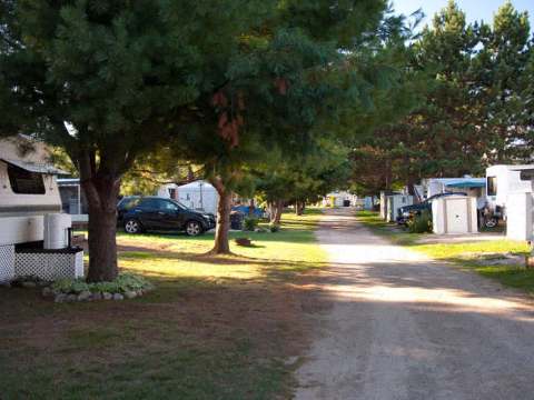 Central path of the campground lined with trees and recreational vehicle sites.