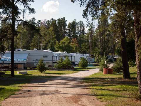 A path winds between the trailers set up in the wooded campground.