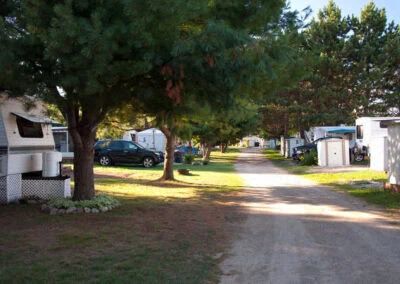 Allée centrale du terrain de camping bordée d'arbres et d'emplacements pour véhicules récréatifs.