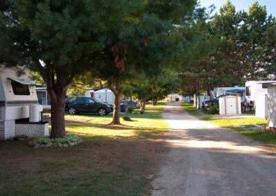 Central path of the campground lined with trees and recreational vehicle sites.