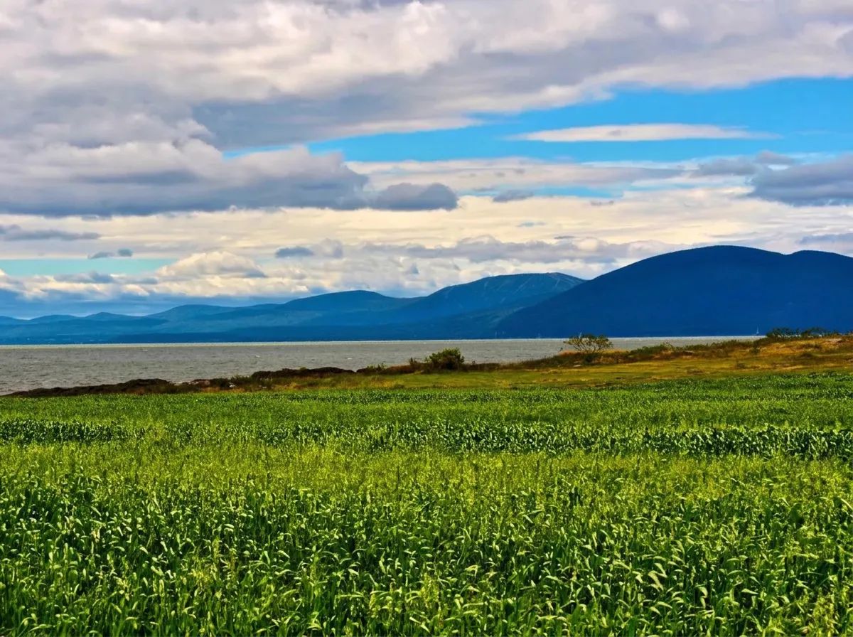 Photo of Domaine de l'Île au Canot in Chaudière-Appalaches, QC