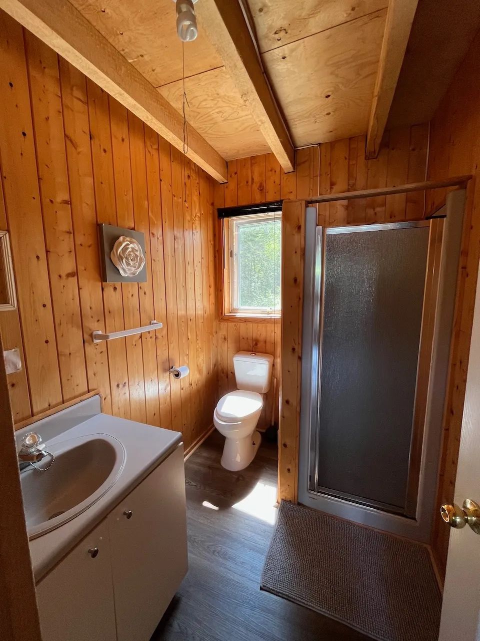 Vue de la salle de bain fonctionnelle avec douche et lavabo dans le chalet Geai Bleu.