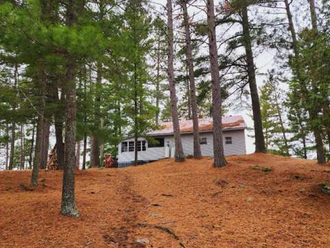 Le chalet numéro un est niché au milieu des arbres dans un environnement boisé.