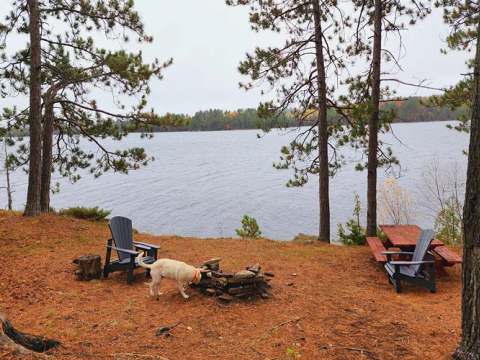 Un espace extérieur aménagé avec foyer et table de pique-nique près du lac.
