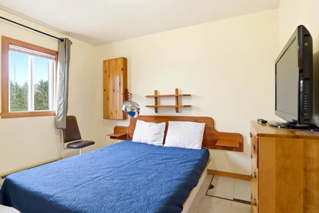 Cette chambre comprend un lit double, une télévision et une fenêtre offrant une vue sur la forêt.