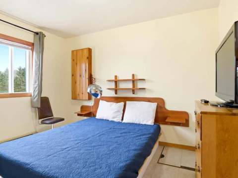 Cette chambre comprend un lit double, une télévision et une fenêtre offrant une vue sur la forêt.