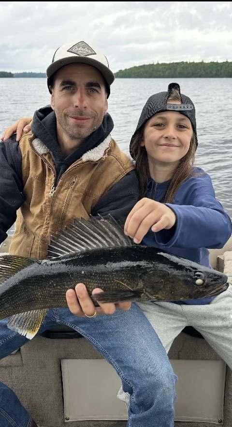 Fishing Walleye at Pourvoirie Dorval Lodge, Abitibi-Témiscamingue, Quebec